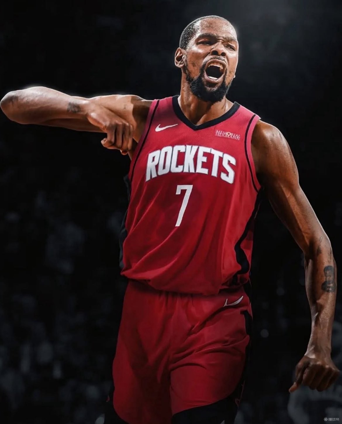 的适应能力 的适应能力